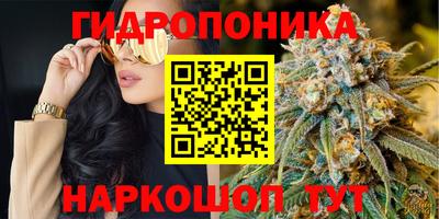 шишки Кулебаки