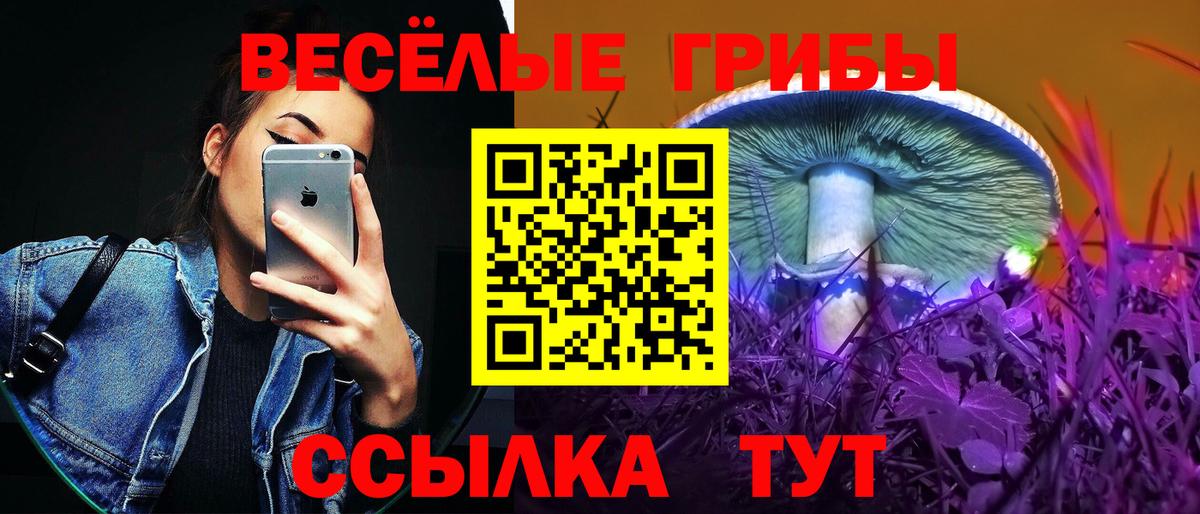 Псилоцибиновые грибы прущие грибы Топки