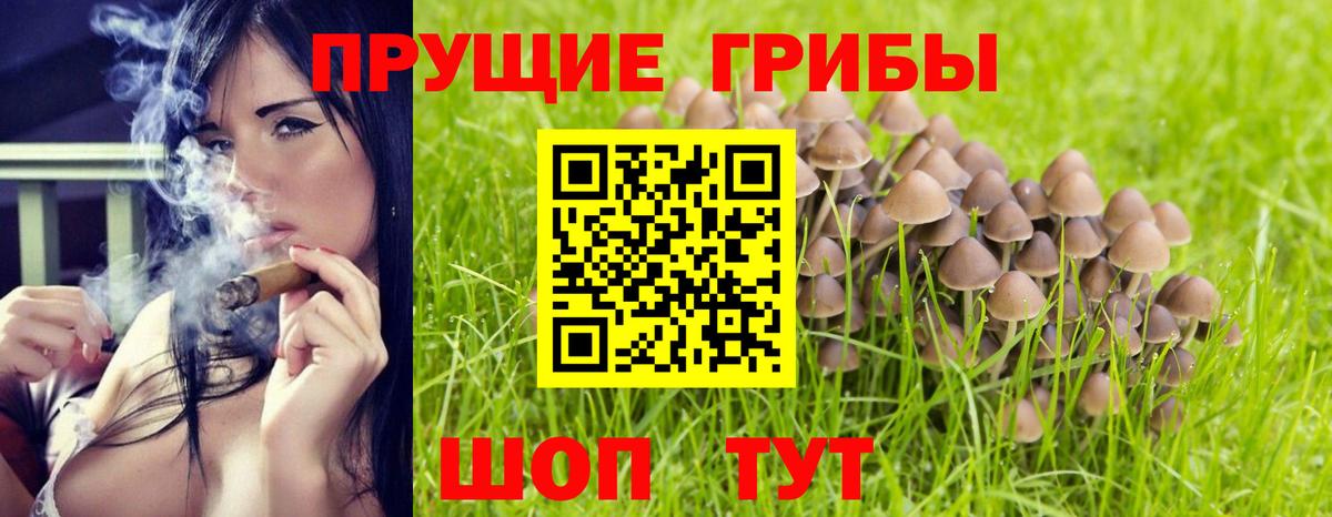 Топки  Галлюциногенные грибы мицелий  Вход с VPN 